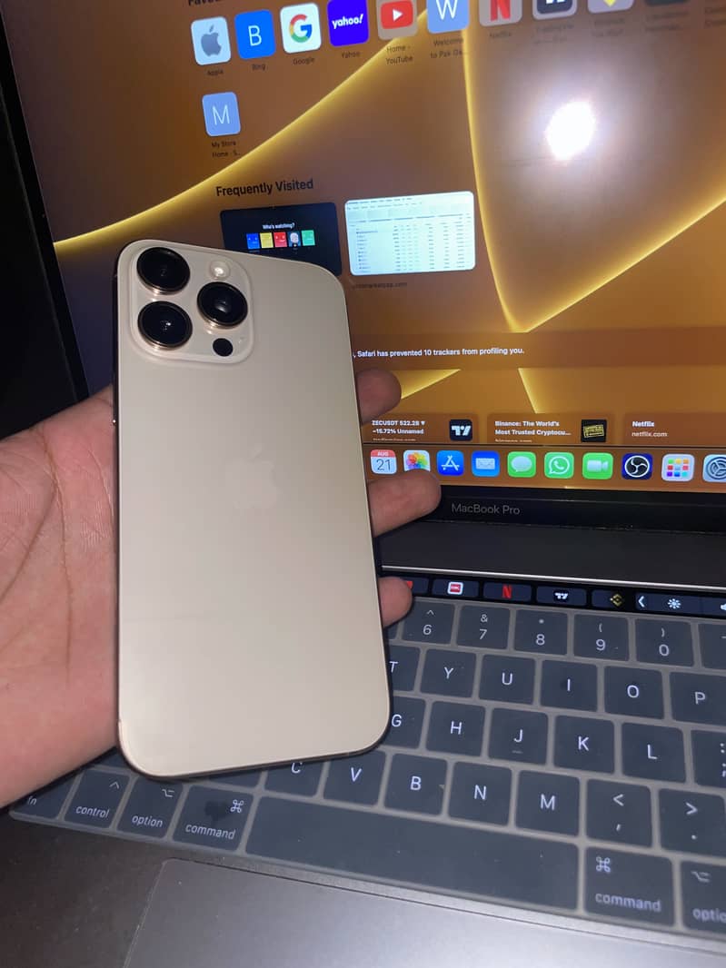 Apple iPhone 16 Pro Max 1