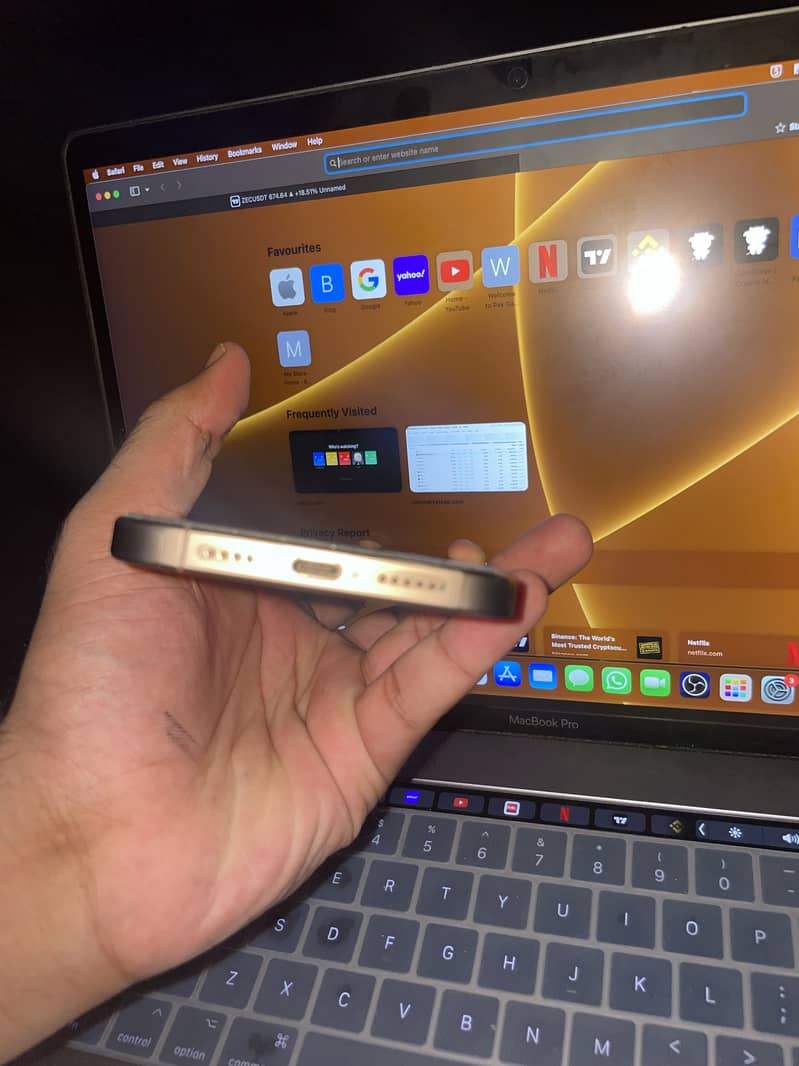 Apple iPhone 16 Pro Max 4
