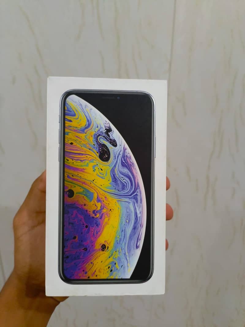 Apple iPhone XS 12
