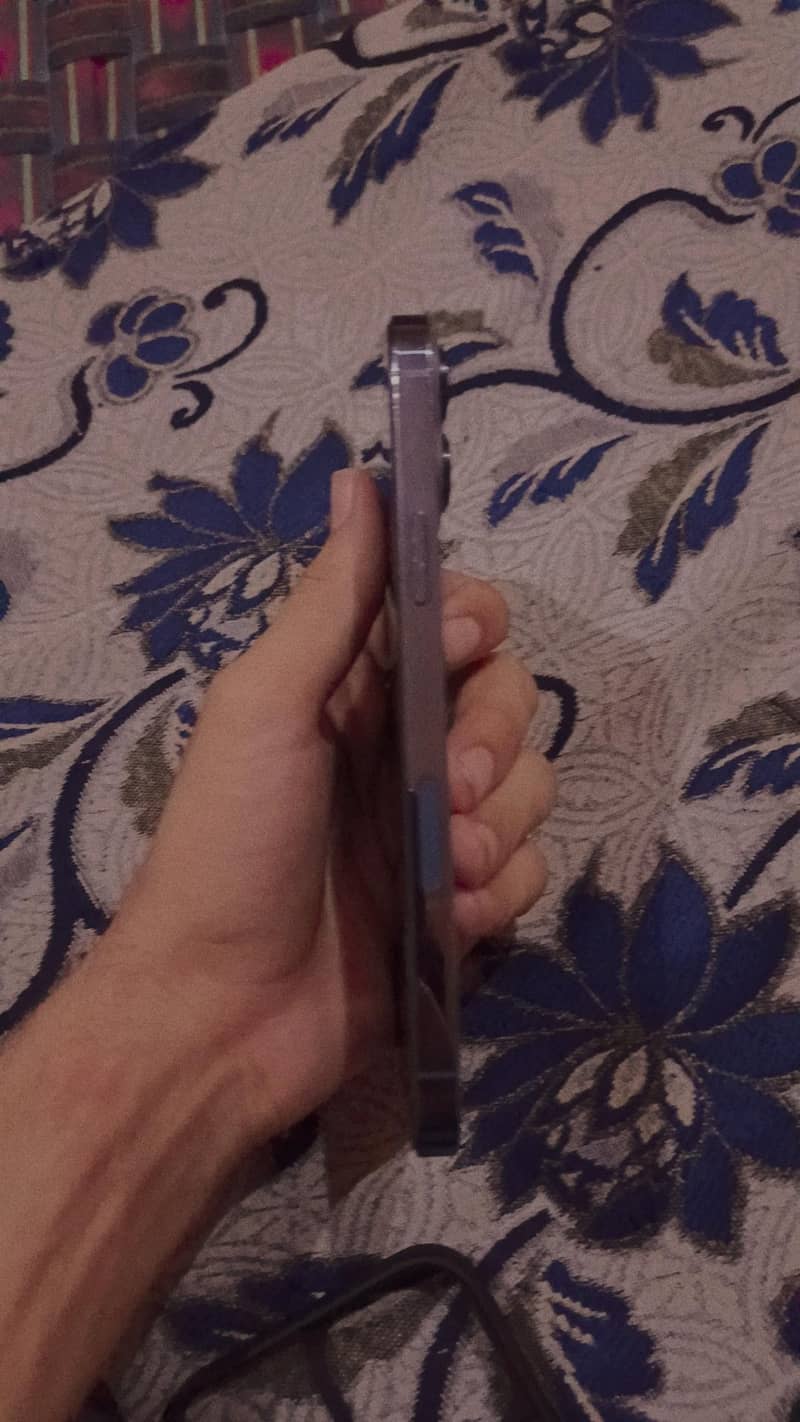 Apple iPhone 13 Pro Max 1