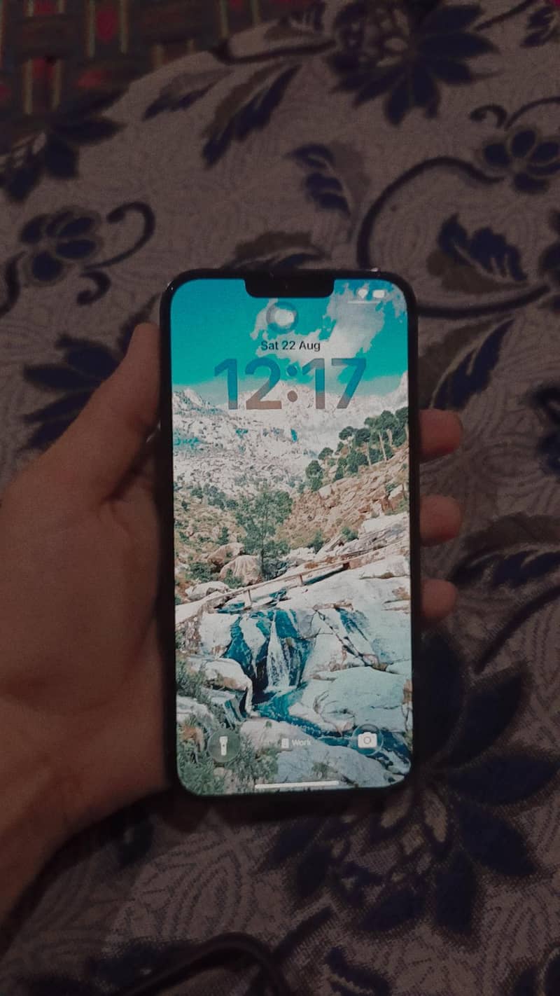 Apple iPhone 13 Pro Max 2