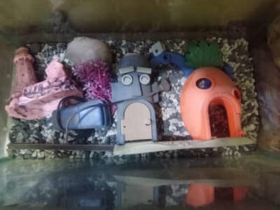 fish aquarium 4500