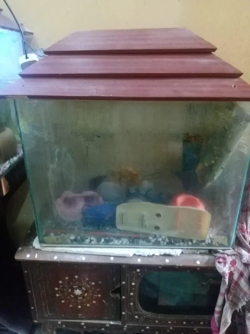 fish aquarium 4500 — photo 2