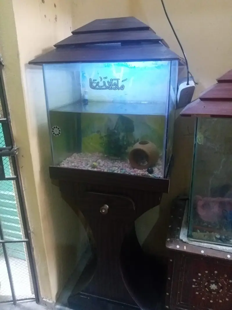 fish aquarium 4500 — photo 3