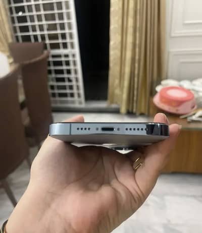 Apple iPhone 13 Pro Max jv