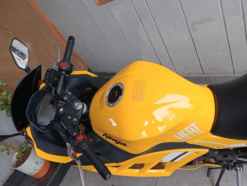 Replica Ninja 1