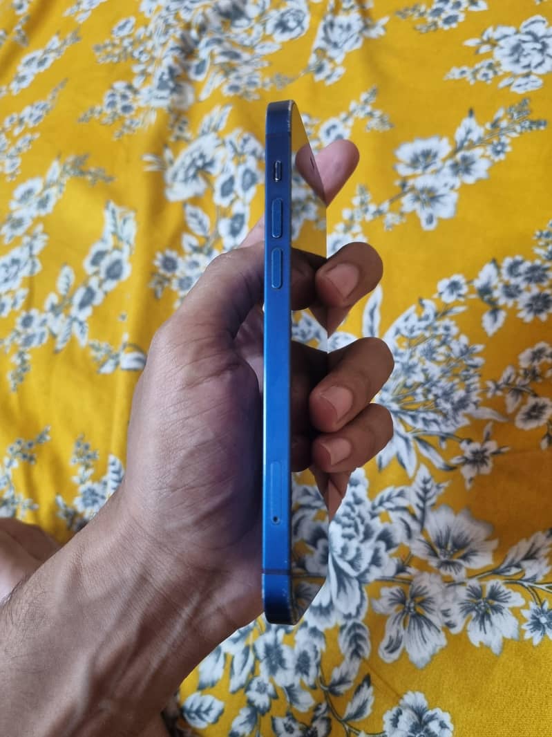 Apple iPhone 12 1