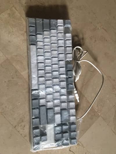 Mechanical Keyboard Mint Condition