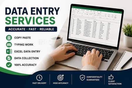 Assignment & Data Entry Work