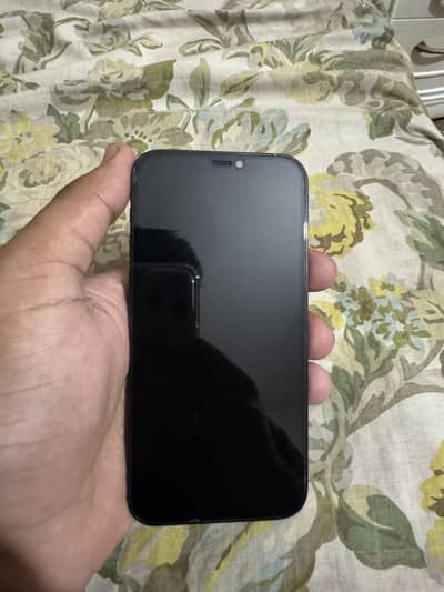 Iphone 12 pro