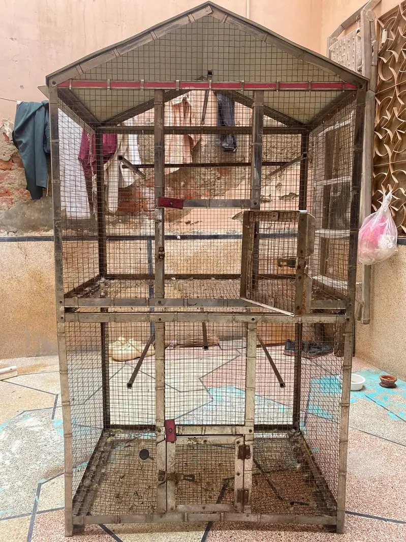 birds house argent for sale — photo 2