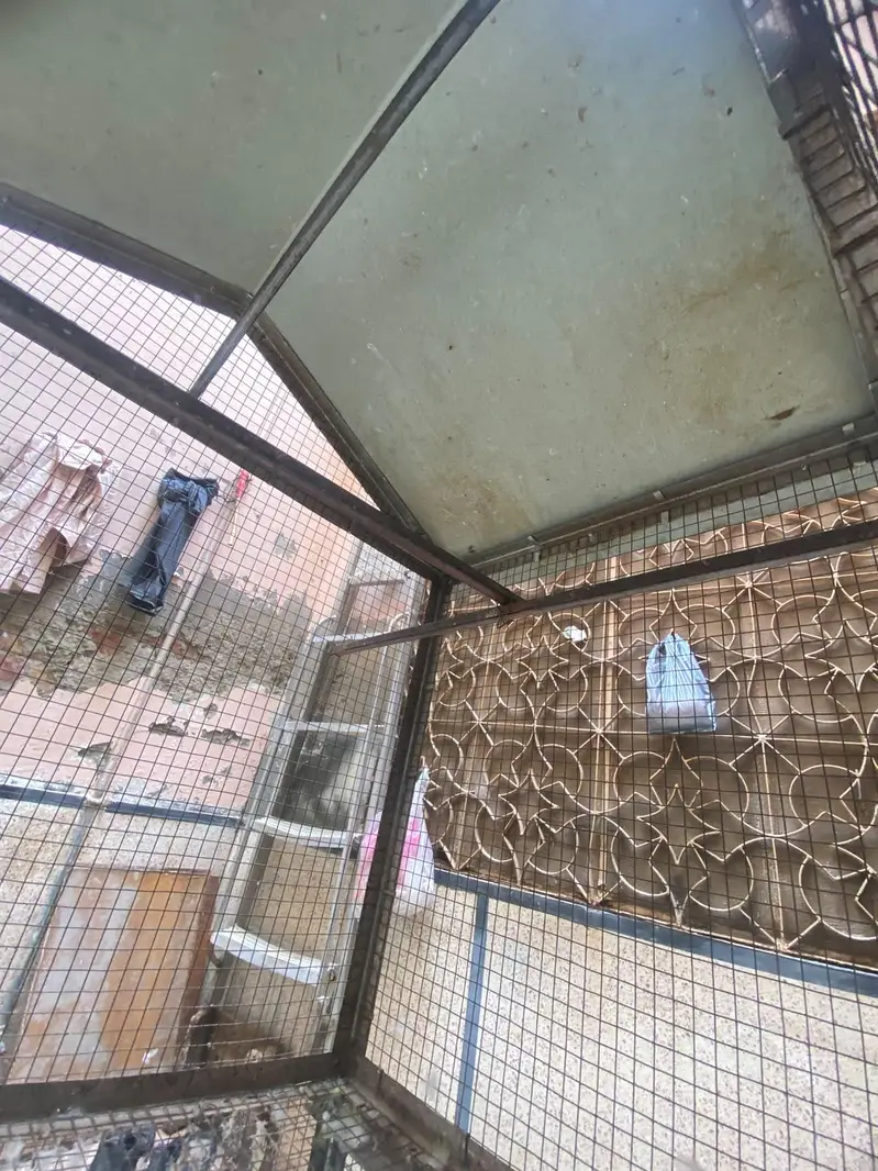 birds house argent for sale — photo 3