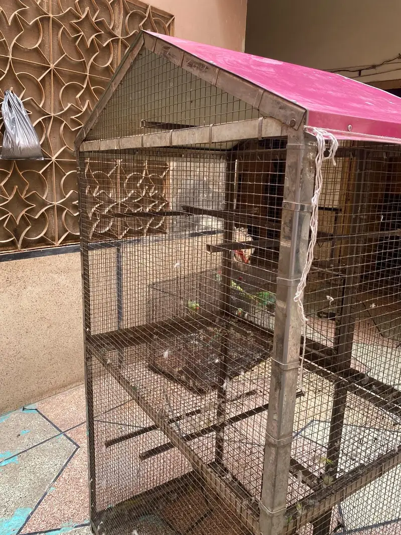 birds house argent for sale — photo 4