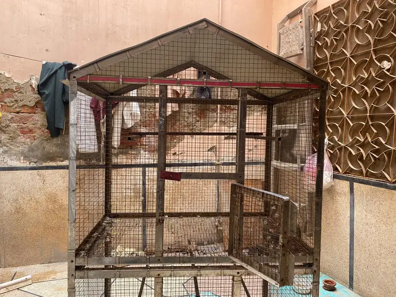 birds house argent for sale — photo 5