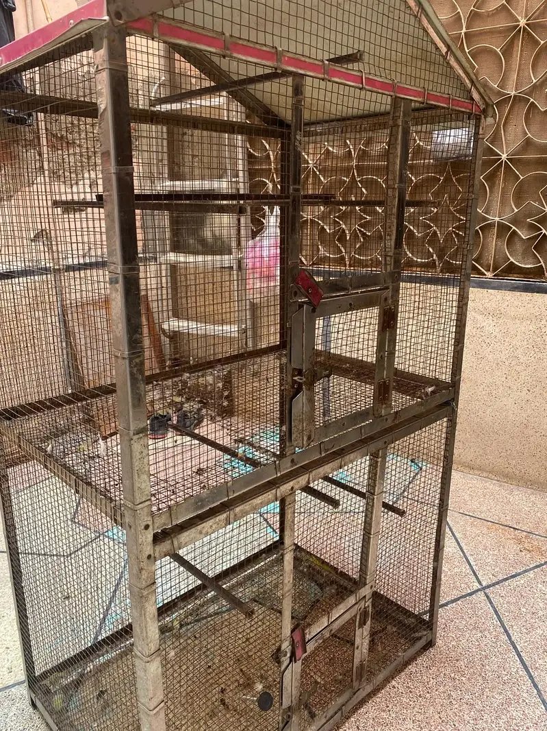 birds house argent for sale — photo 7