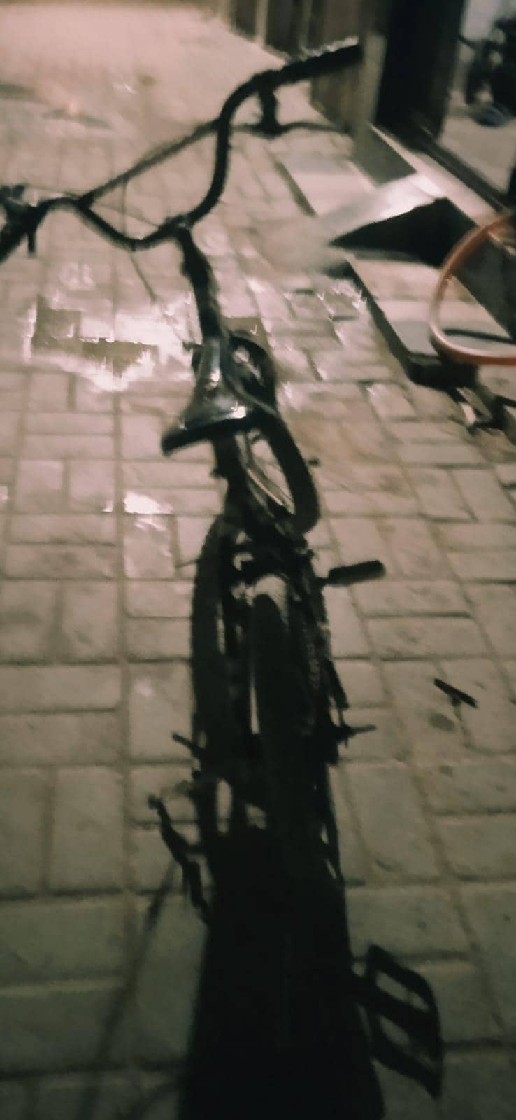 sporty cycle 0