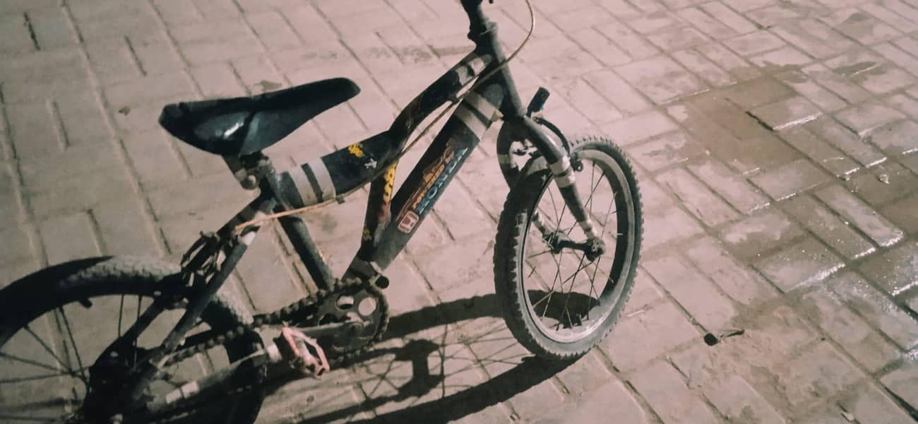 sporty cycle 1