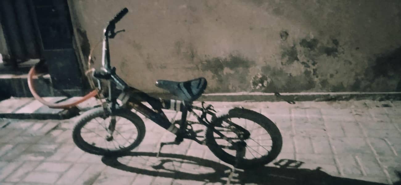 sporty cycle 2