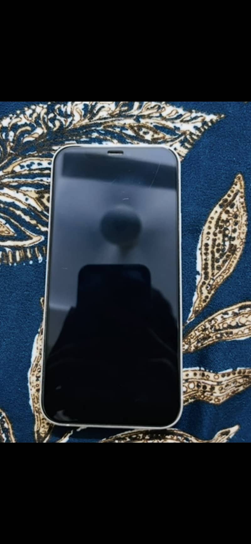 Apple iPhone 12 1