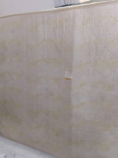 moltyfoam vip