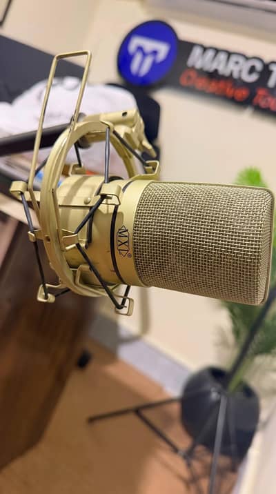 MXL 990 Condenser Microphone (with Shockmount)