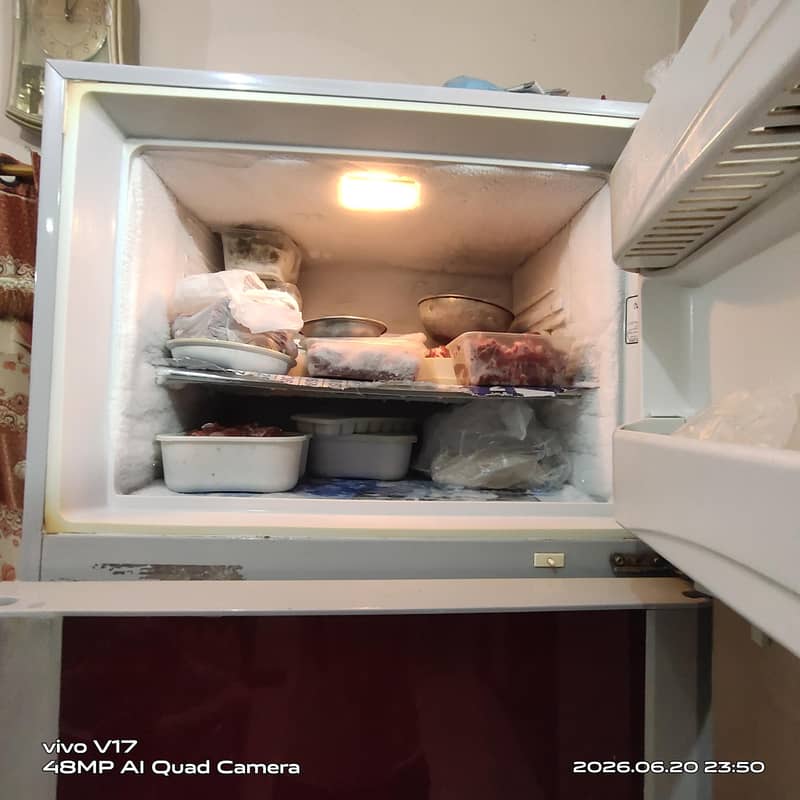 Fridge 1