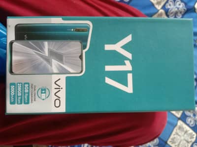 Vivo Y17