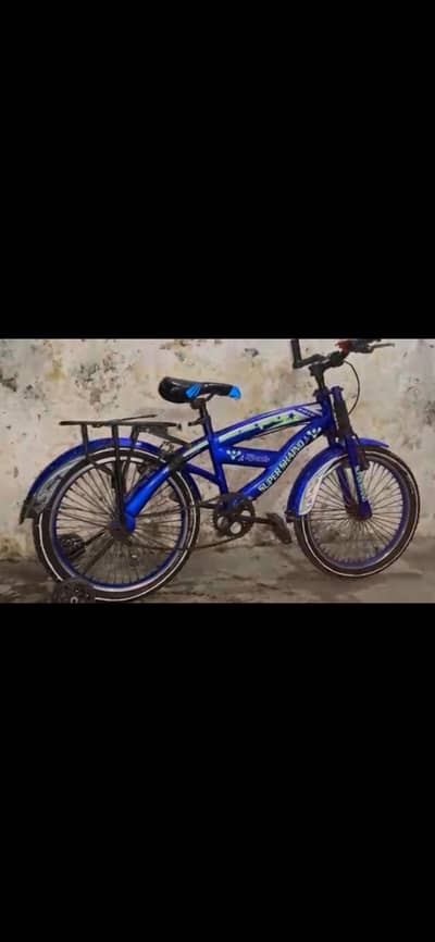 cycle 20 size