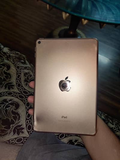 ipad mini 5