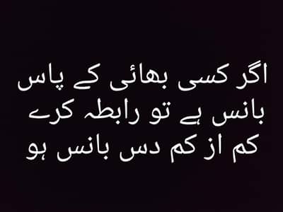 اگر بانس ہو تو رابطہ کرے