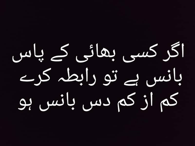 اگر بانس ہو تو رابطہ کرے 0