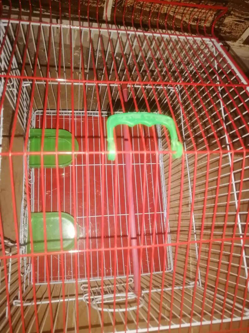 heavy strong cage for birds — photo 4