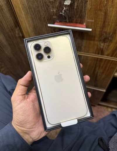 Apple iPhone 13 Pro Max jv