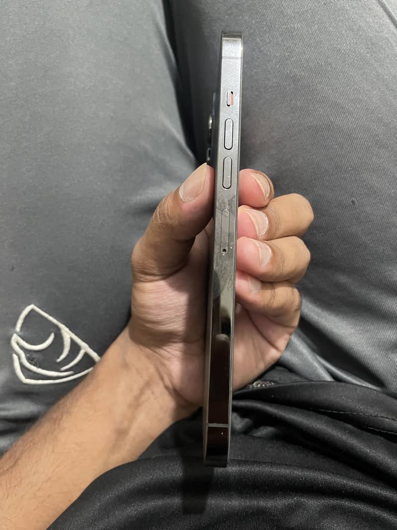 Apple iPhone 13 Pro Max 2