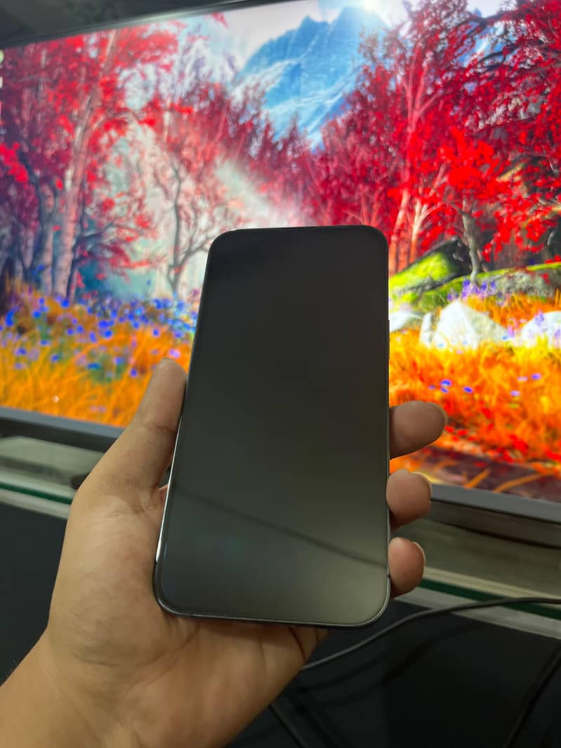 Apple iPhone 14 Pro Max 9