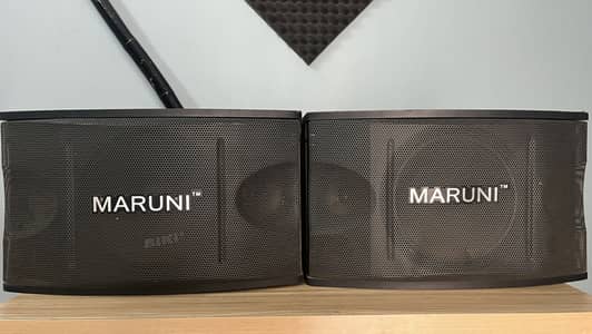 DJ Speaker (Maruni Speakers)