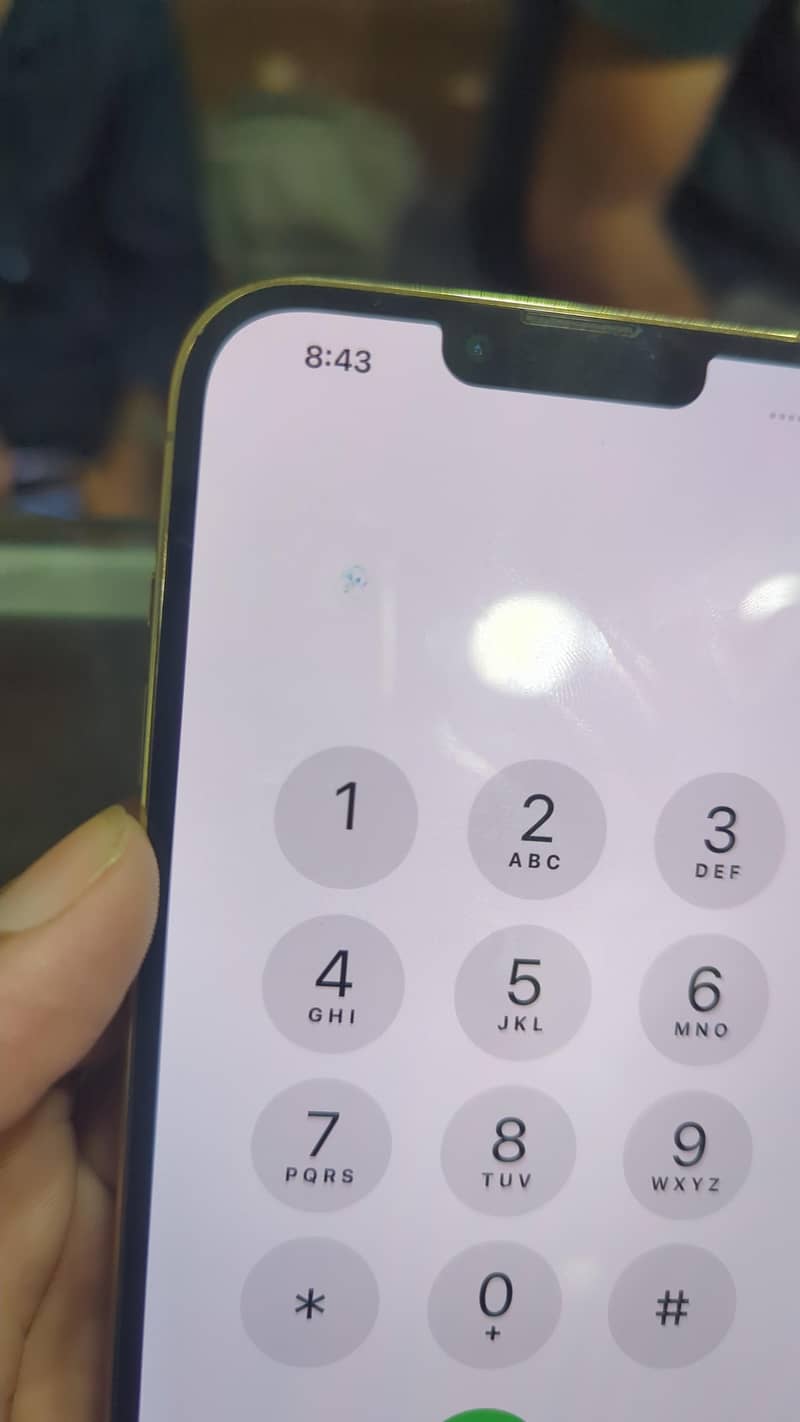 Apple iPhone 13 Pro Max 3