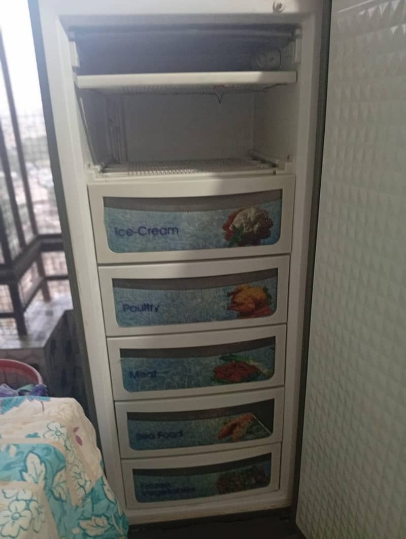 Dawlance Deep Freezer 2