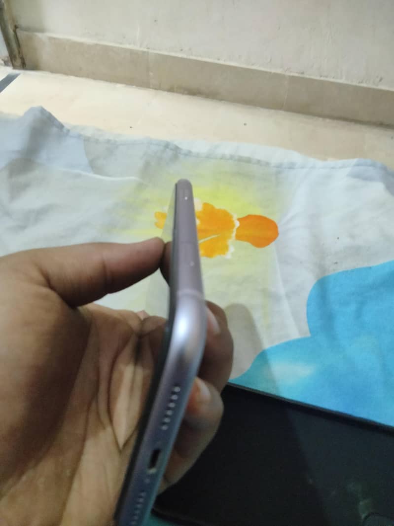 Apple iPhone 11 3