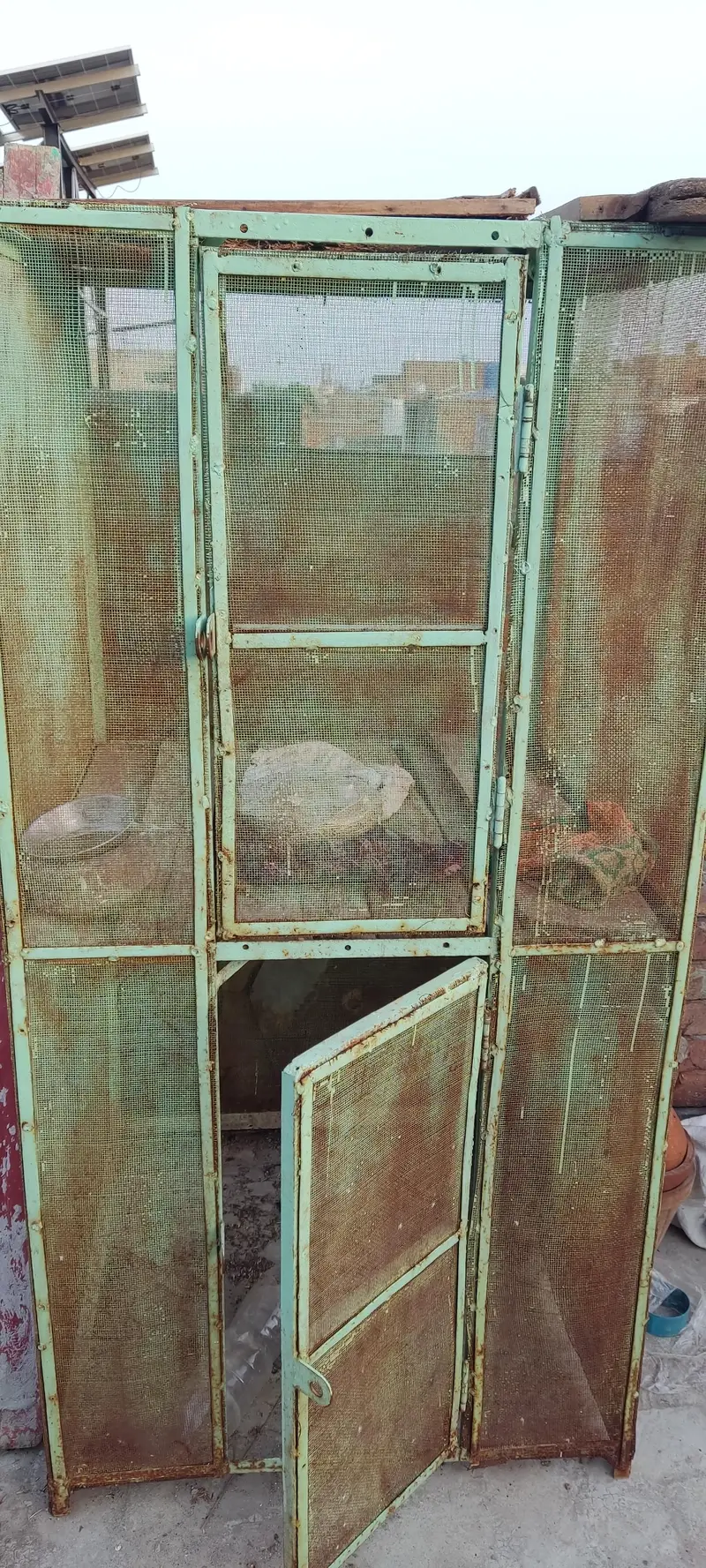 Cage for sale best for Hen's — photo 3