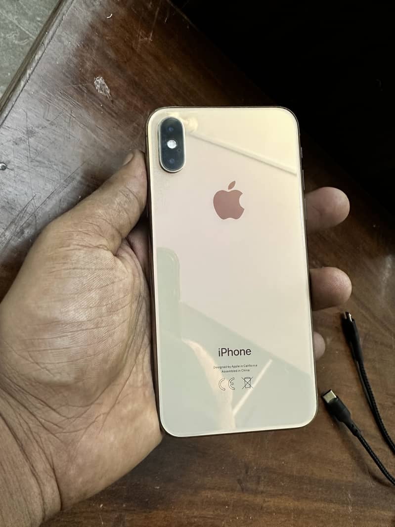 Apple iPhone XS 1