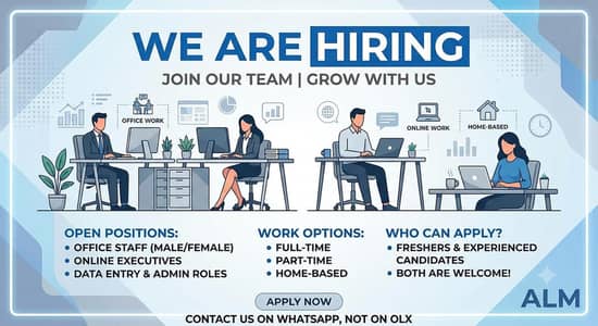 we are hiring person for office and online job professional or fresher