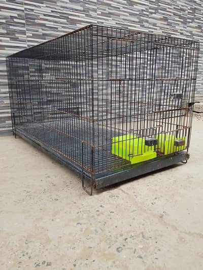 Parrot Cage | Hen Cage | Cat Cage| Rabbit Cage|Pigeon Cage| Pinjra
