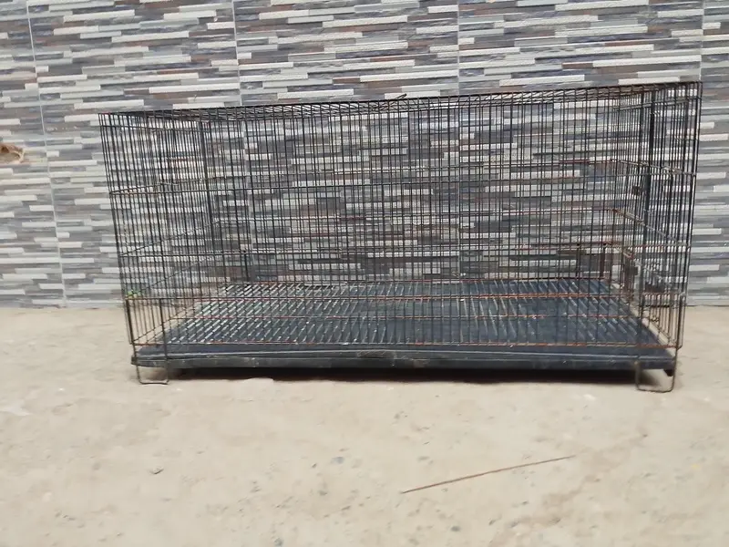 Parrot Cage | Hen Cage | Cat Cage| Rabbit Cage|Pigeon Cage| Pinjra — photo 2