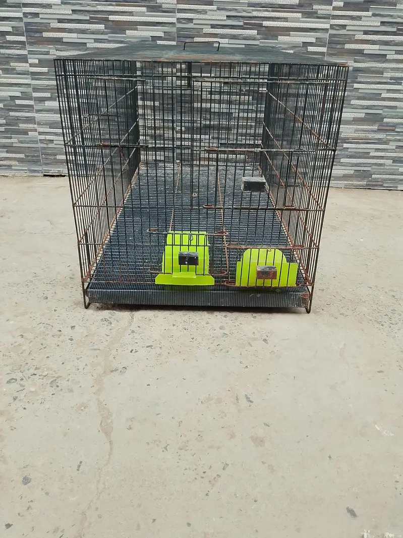 Parrot Cage | Hen Cage | Cat Cage| Rabbit Cage|Pigeon Cage| Pinjra — photo 3