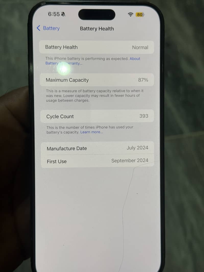 Apple iPhone 15 Pro Max 1