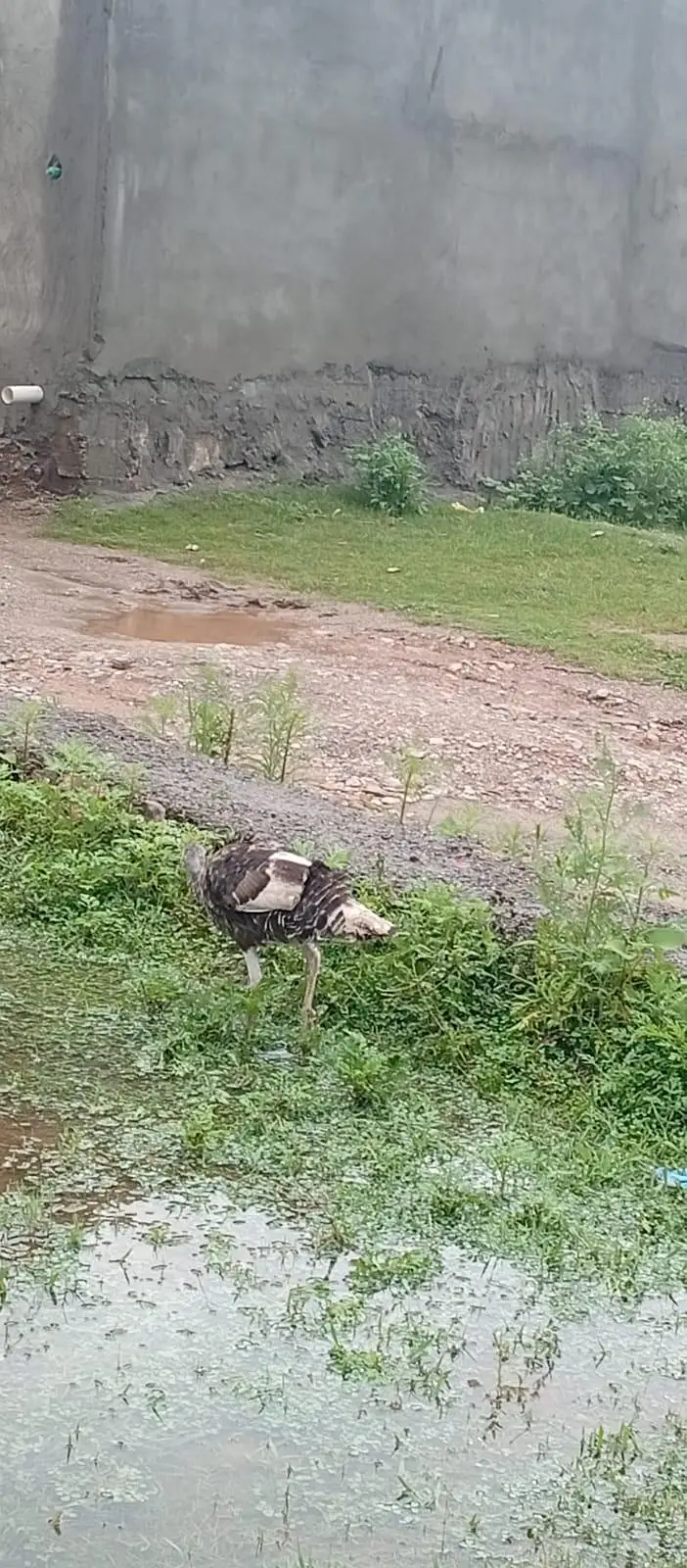 male and female — photo 2