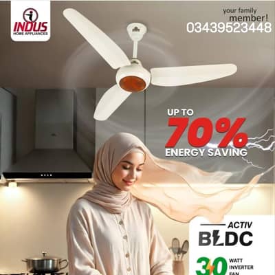 INDUS 30 watt inverter fan