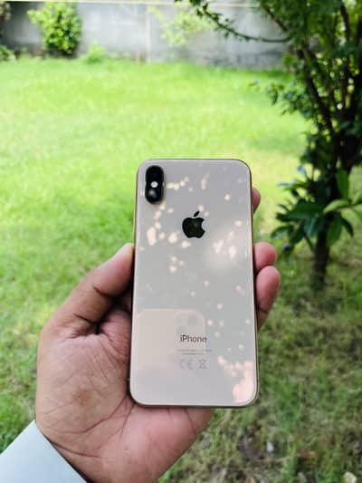 Apple iPhone XS