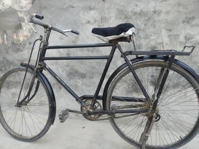 Sohrab 24" Bicycle Black Colour